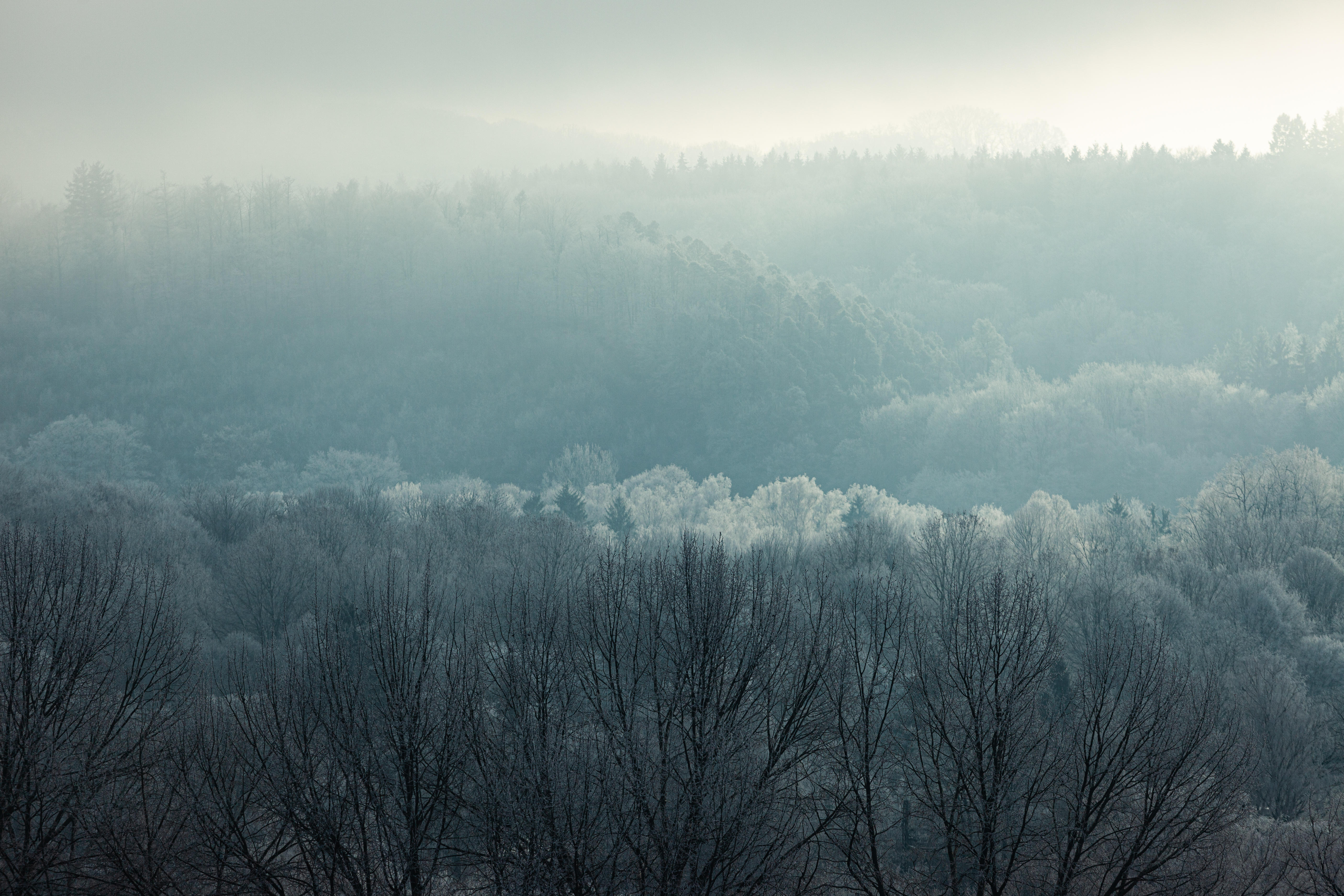 Frost in Winter in Tübingen